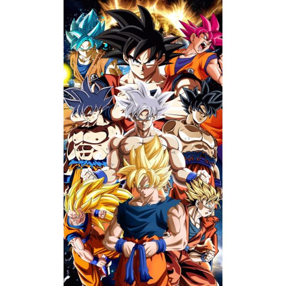 FanArt Anime - Dragon Ball Z - Son Goku - Vegeta - poszter