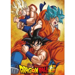 FanArt Anime - Dragon Ball Z -B - poszter