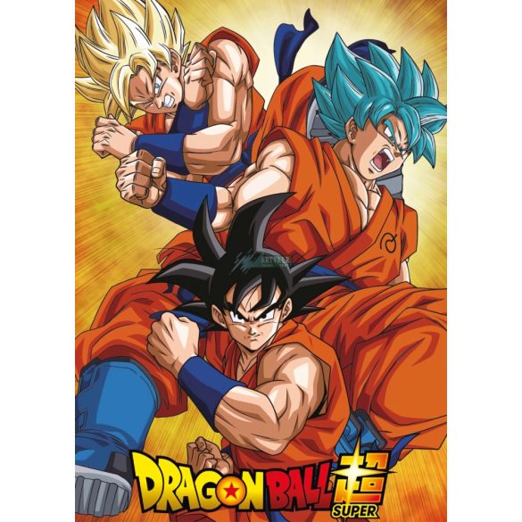FanArt Anime - Dragon Ball Z -B - poszter