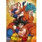 FanArt Anime - Dragon Ball Z -B - poszter
