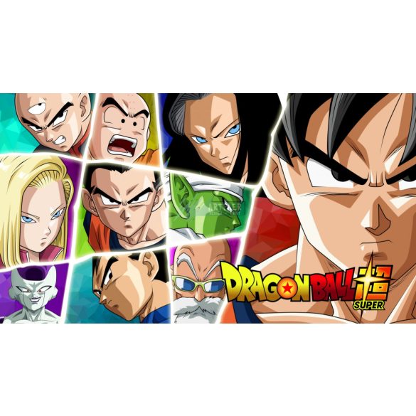 FanArt Anime - Dragon Ball Z -E - poszter