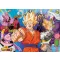 FanArt Anime - Dragon Ball Z -F - poszter