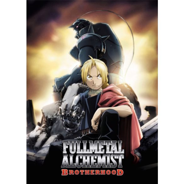 FanArt Anime - Fullmetal Alchemist -D - poszter