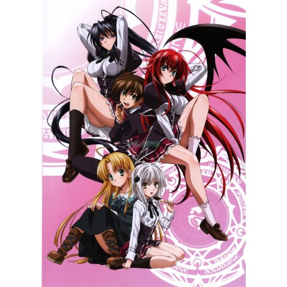FanArt Anime - High School DxD -D poszter