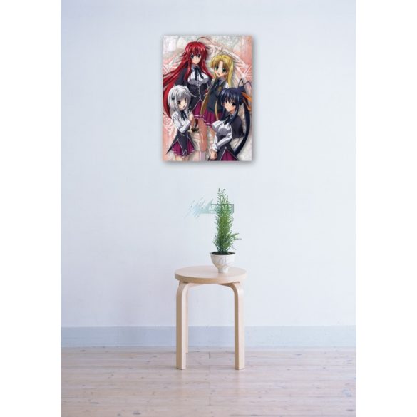 FanArt Anime - High School DxD -E poszter