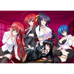 FanArt Anime - High School DxD -G poszter