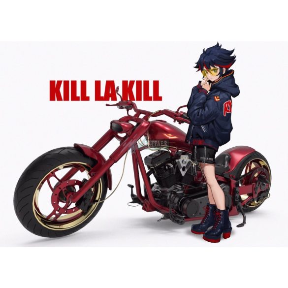 FanArt Anime - Kill La Kill -D poszter