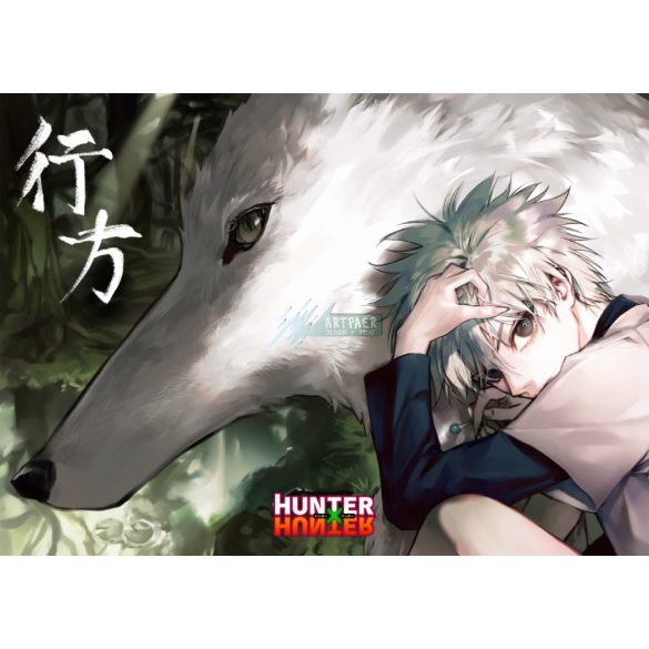 FanArt Anime - Hunter X Hunter -E poszter