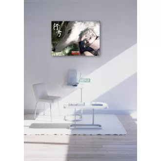 FanArt Anime - Hunter X Hunter -E poszter