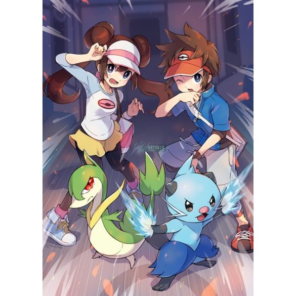 FanArt Anime - Pokemon -F poszter