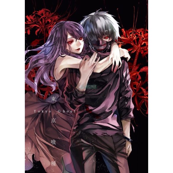 FanArt Anime - Tokyo Ghoul - /D - poszter