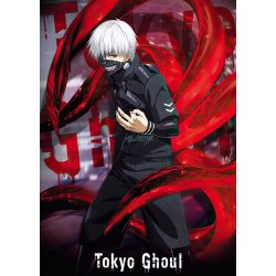 FanArt Anime - Tokyo Ghoul - /H - poszter