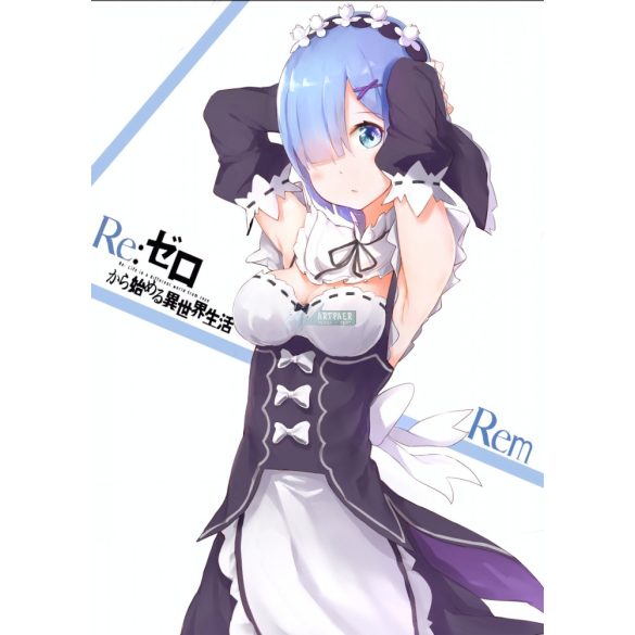 FanArt Anime - Re Zero /D - poszter