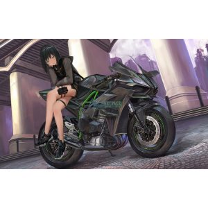 FanArt Anime - Anime girl on Kawasaki Ninja - poszter