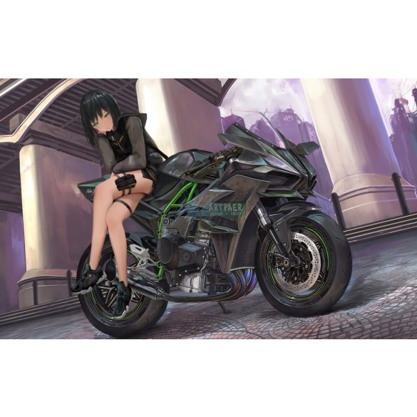 FanArt Anime - Anime girl on Kawasaki Ninja - poszter