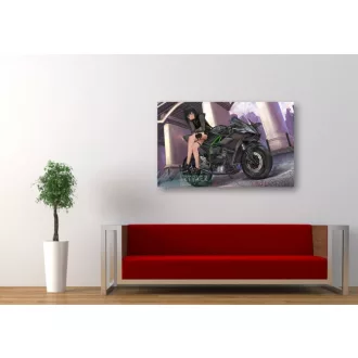 FanArt Anime - Anime girl on Kawasaki Ninja - poszter