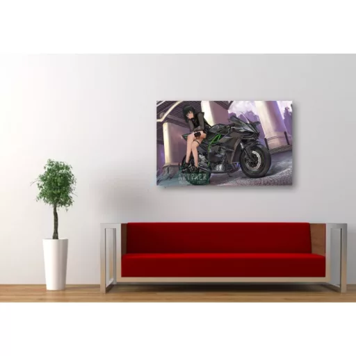 FanArt Anime - Anime girl on Kawasaki Ninja - poszter