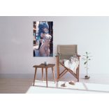 FanArt Anime sexy Girls - poszter