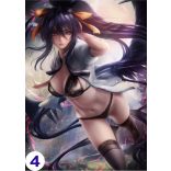 Cosplay Poster FanArt - High School DxD - Anime Girls