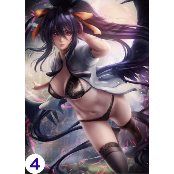 Cosplay Poster FanArt - High School DxD - Anime Girls