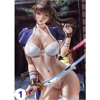 Cosplay Poster FanArt - Dead or Alive - Anime Girls