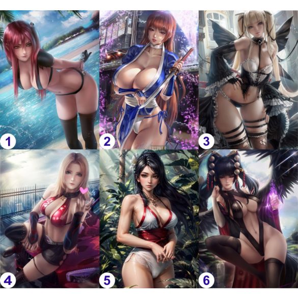 Cosplay Poster FanArt - Dead or Alive - Anime Girls