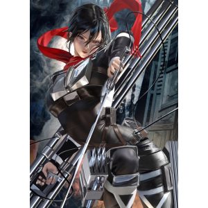 FanArt Anime Manga - Attack On Titan - Shingeki no Kyojin - Mikasa Ackerman /D - poszter