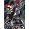 FanArt Anime Manga - Attack On Titan - Shingeki no Kyojin - Mikasa Ackerman /D - poszter