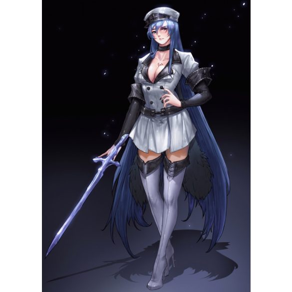 FanArt Anime Manga - Akame Ga Kill -  Esdeath - poszter