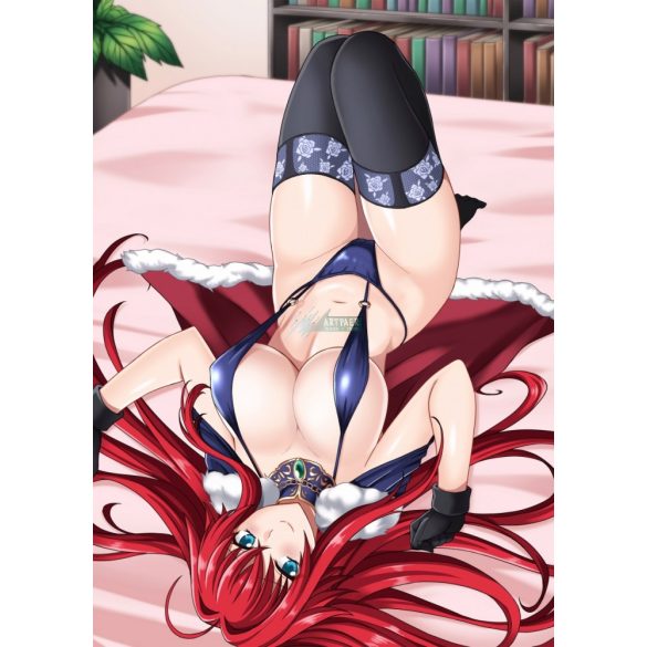 FanArt Anime Manga - High School DxD -I poszter