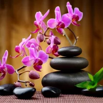 ZEN Poszter
